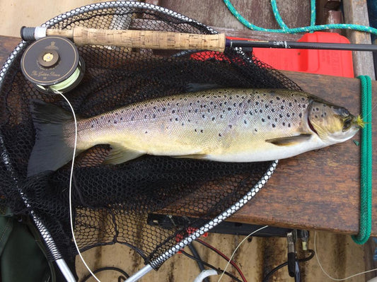 Lough Erne Fishing Well On The Mayfly