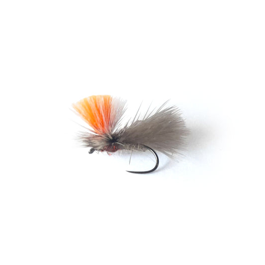Peter Drivers Sedge Klink Orange White