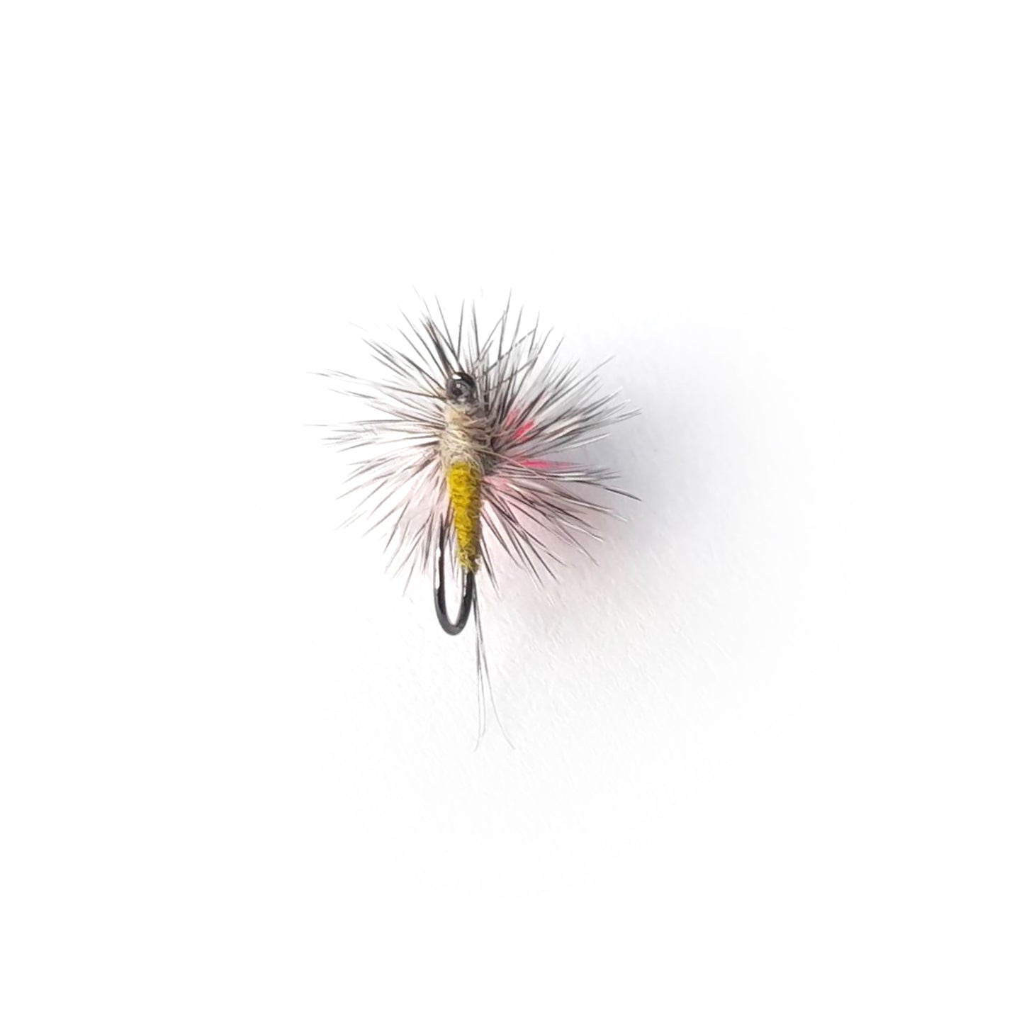Peter Drivers Pink Post Olive Parachute