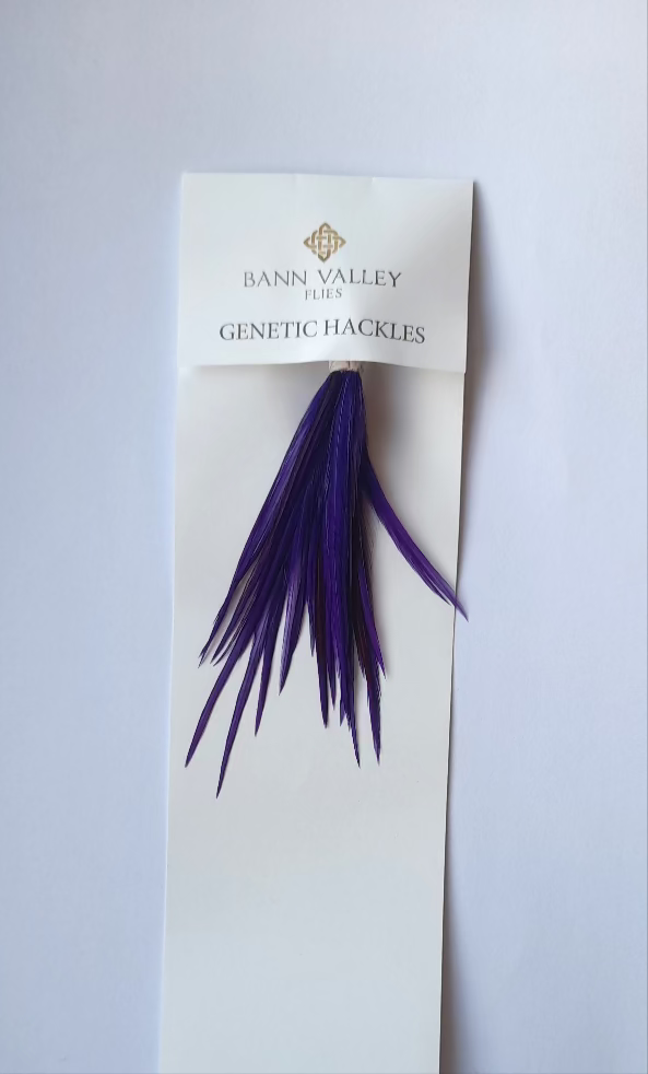 Metz Neck Hackle Average Sizes Purple