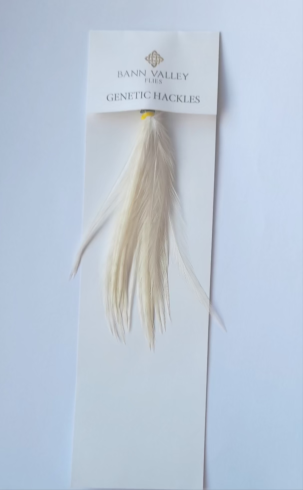 Metz Neck Hackle Average Sizes White/Cream