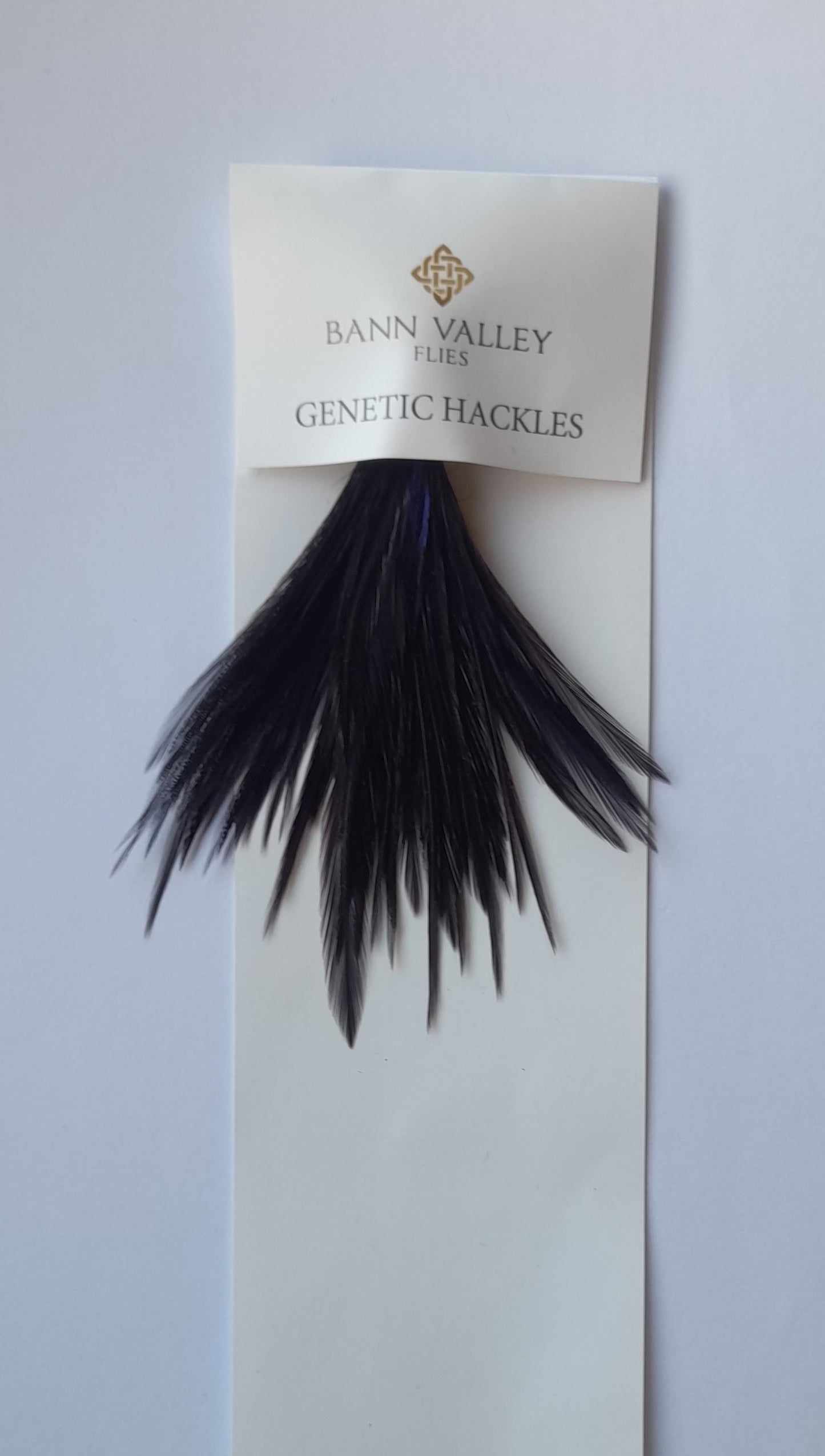 Metz Neck Hackle Average Sizes Claret Purple