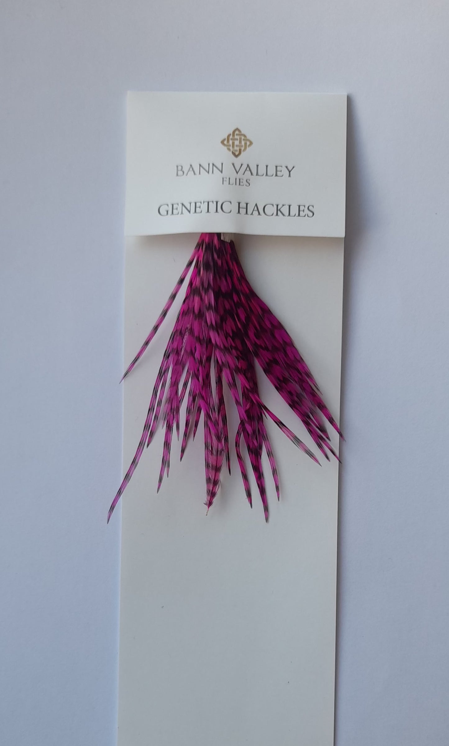 Metz Neck Hackle Average Sizes Grizzle Pink