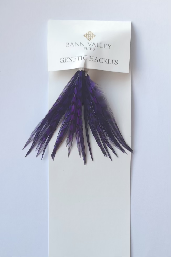 Metz Neck Hackle Average Sizes Grizzle Dyed Rebel Purple