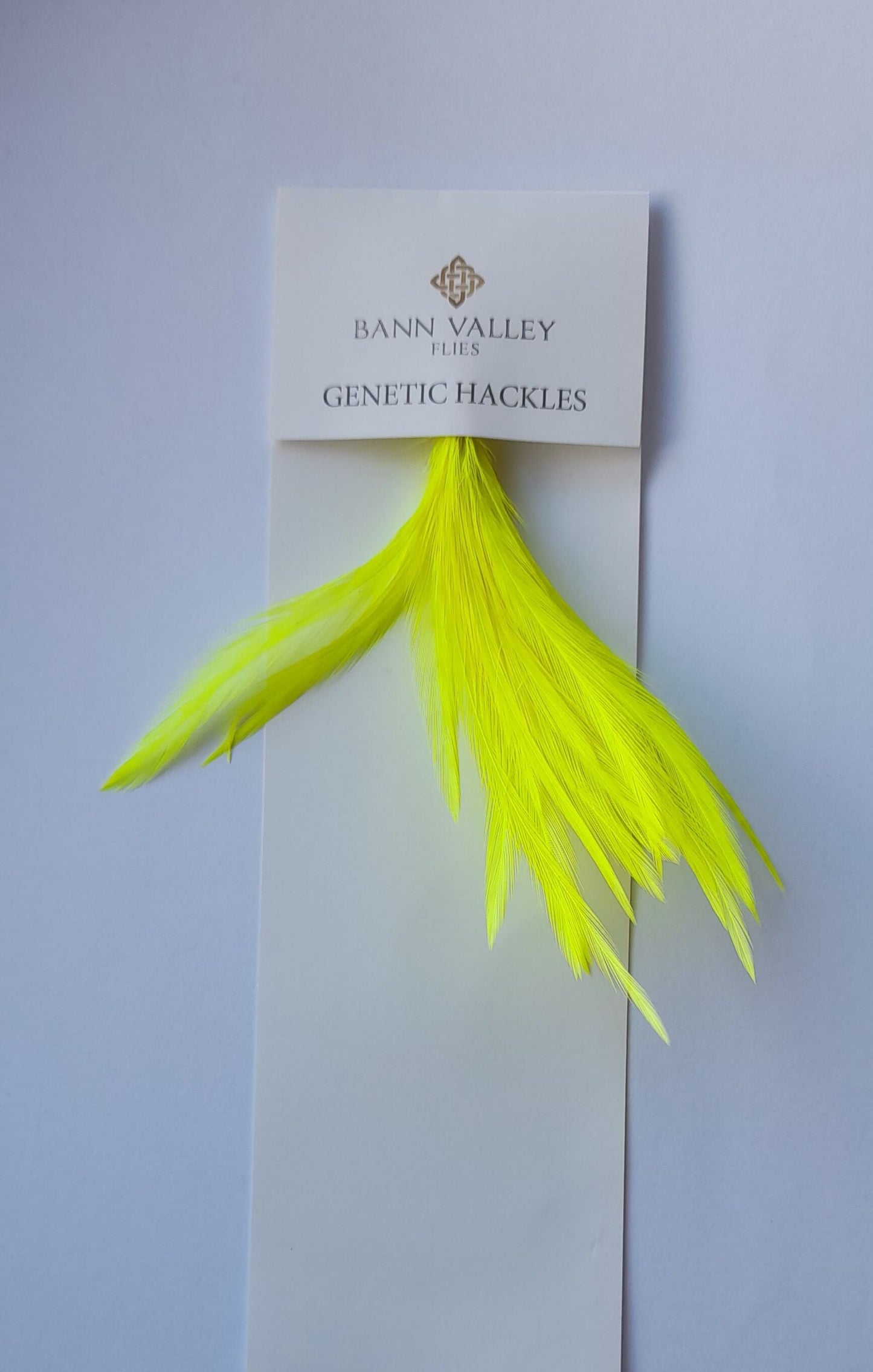 Metz Neck Hackle Average Sizes Florescent Yellow