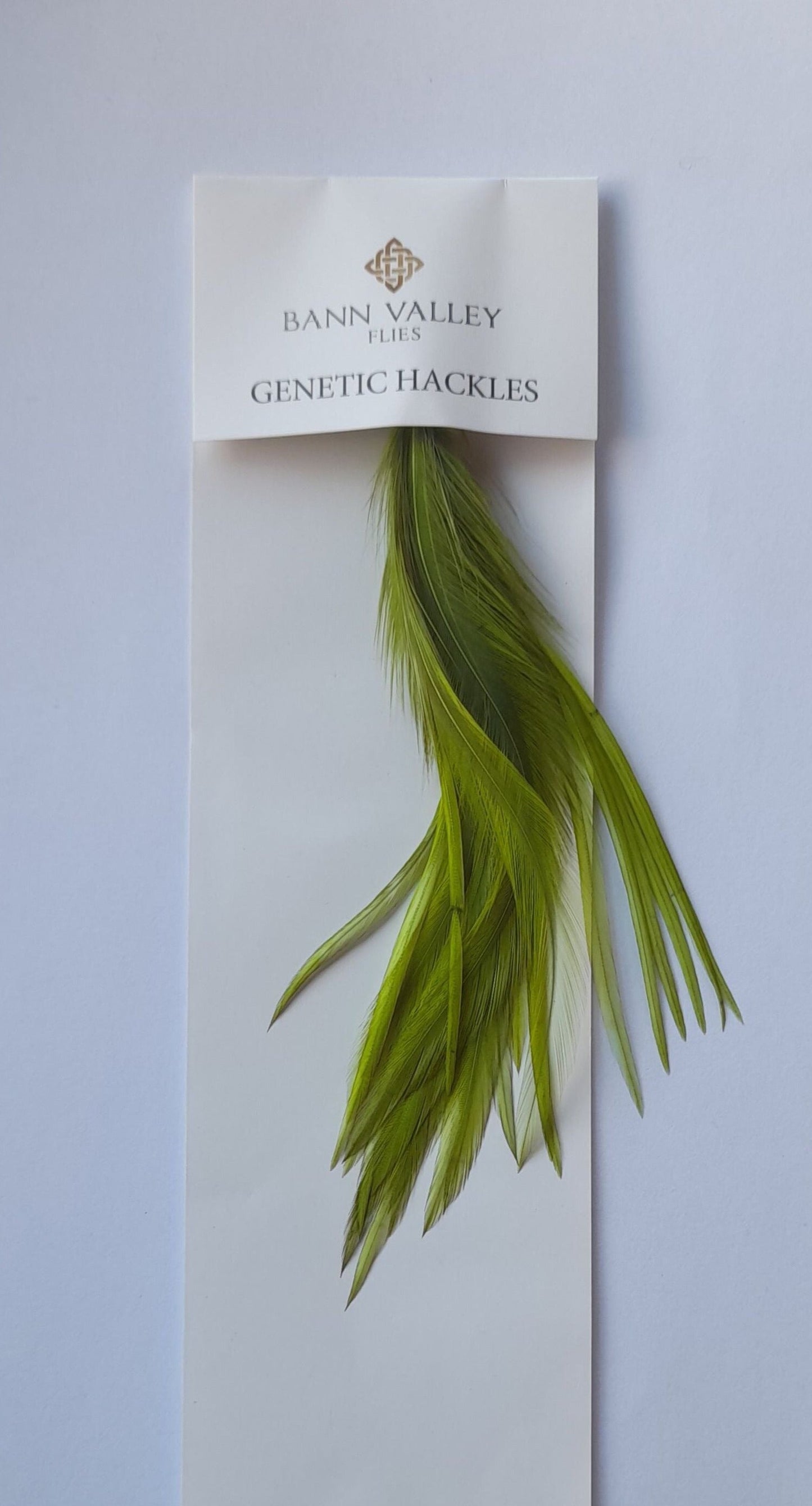Metz Neck Hackle ACID OLIVE Average Sizes