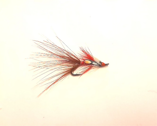 Currys Red Shrimp - Single