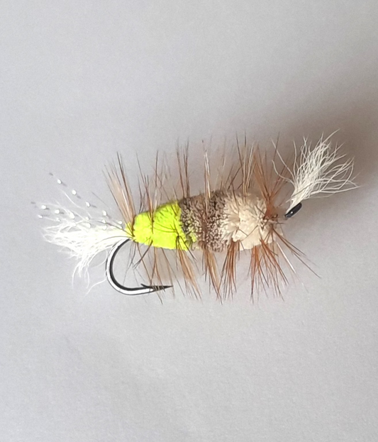 Bomber salmon dry single