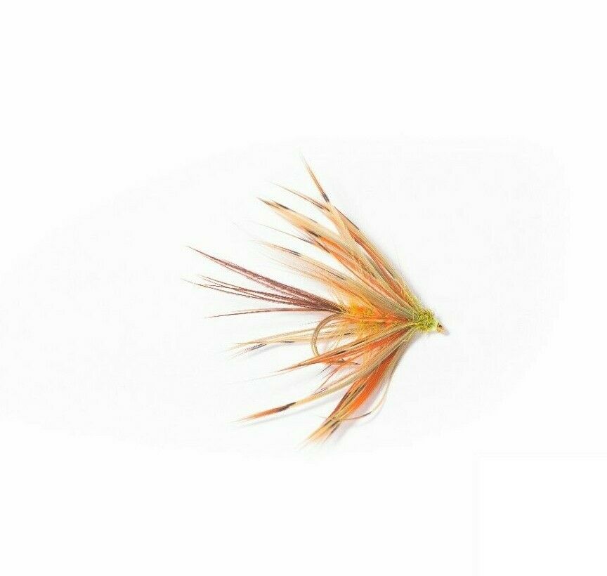 Drowned Partridge Med Olive FL RIB