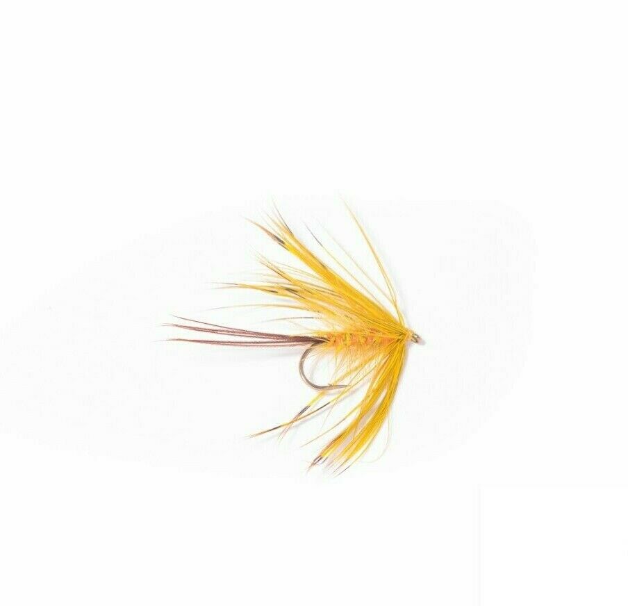 French Partridge Yellow Olive