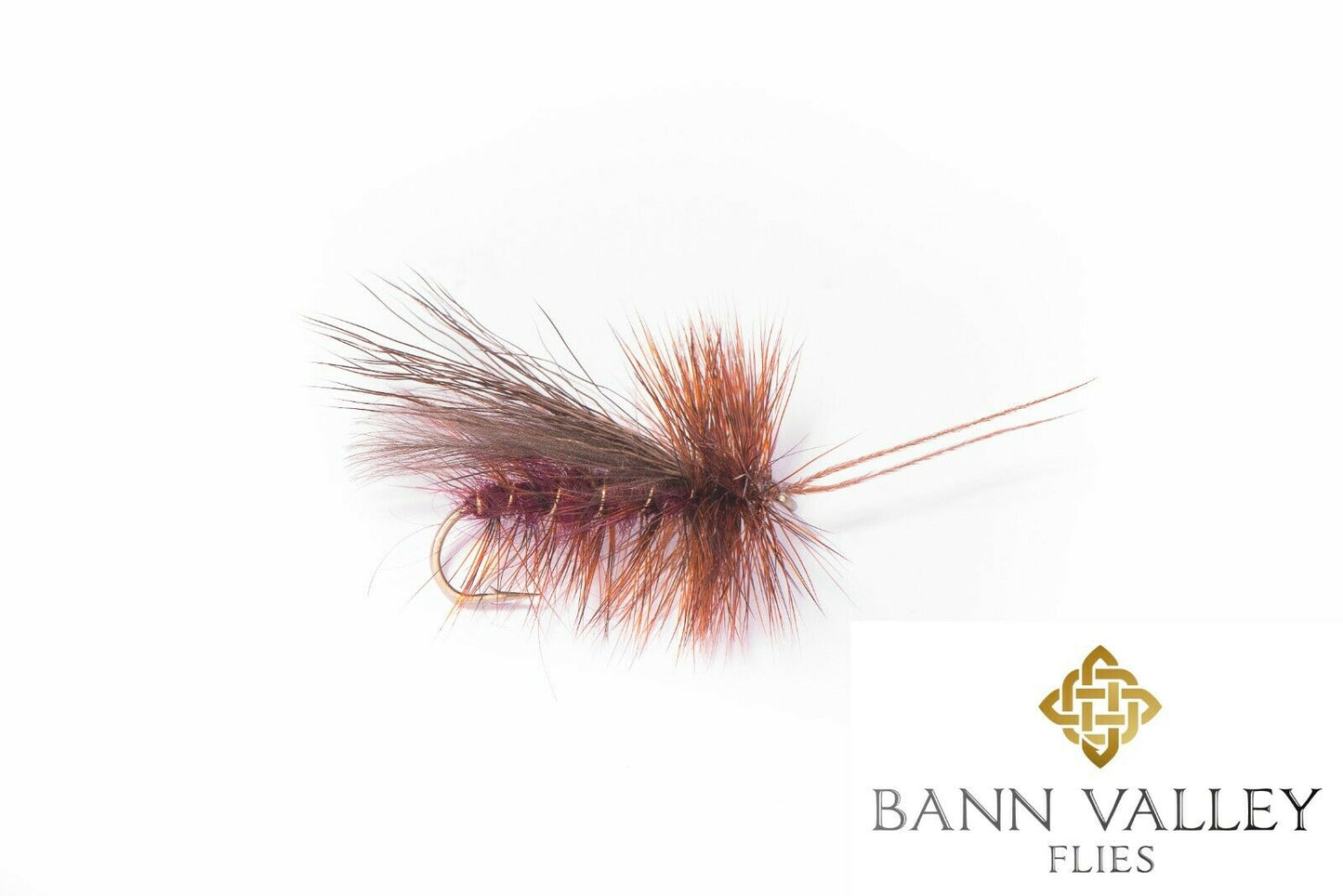 Murrough Sedge