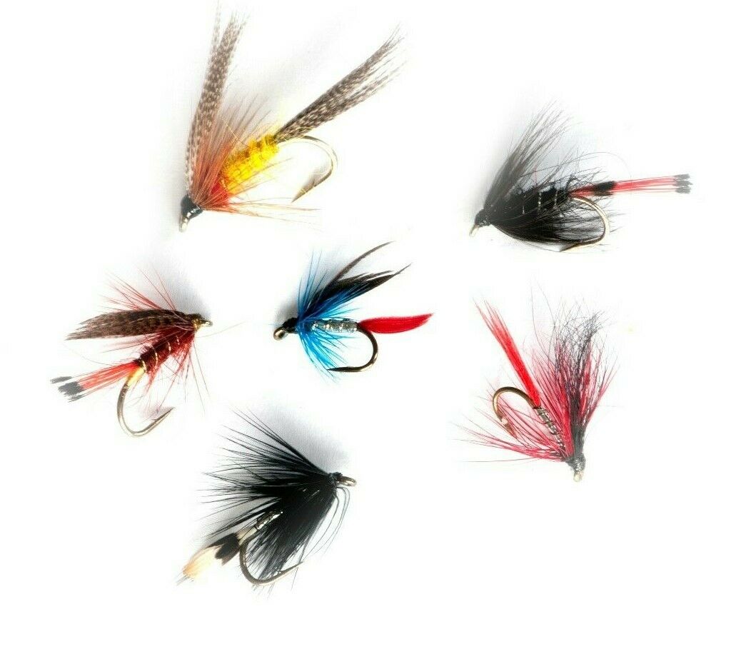 WET - BALLINDERRY BLACK