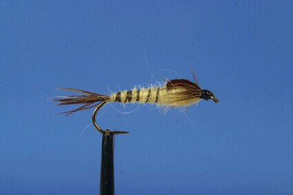 WALKERS MAYFLY