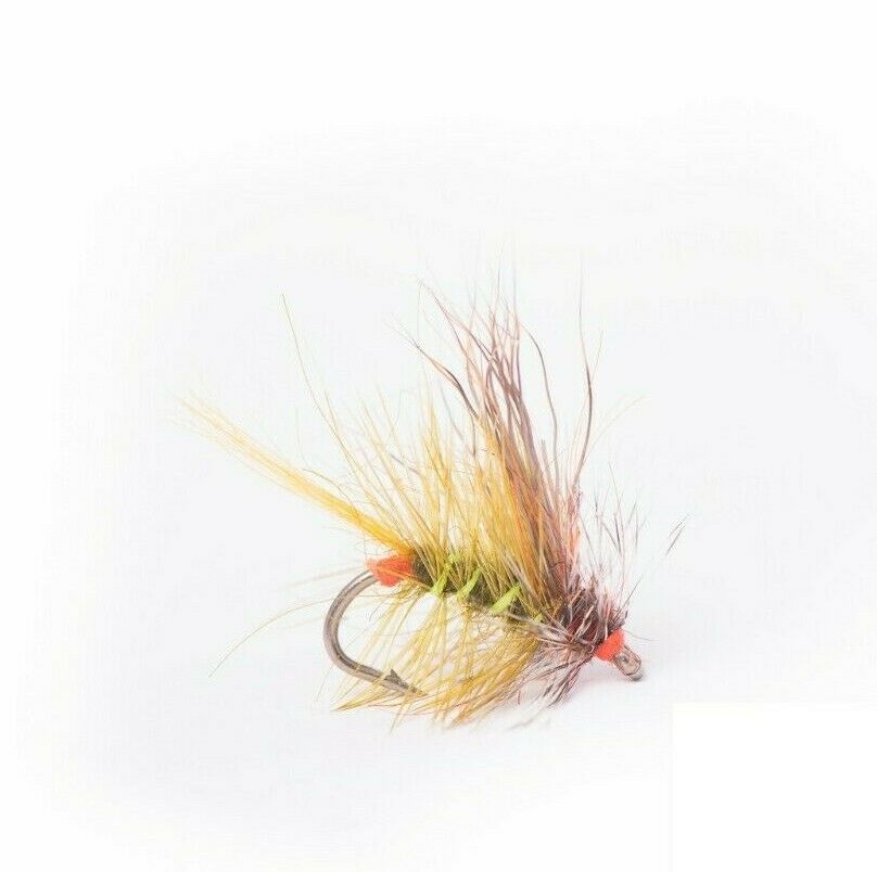 Stimulator Olive