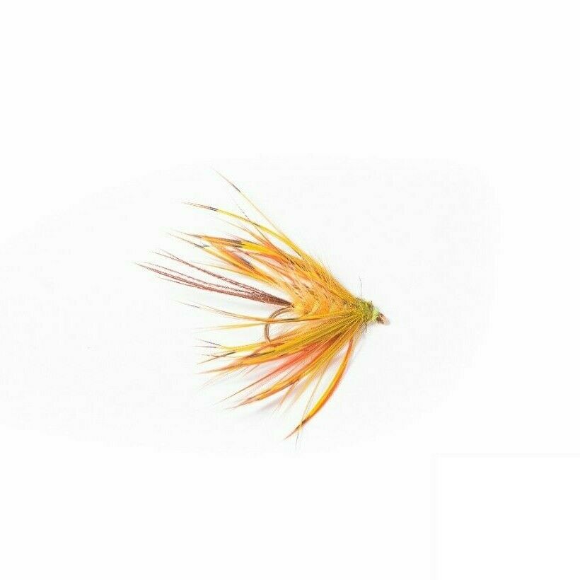 Drowned Partride Golden Olive FL RIB