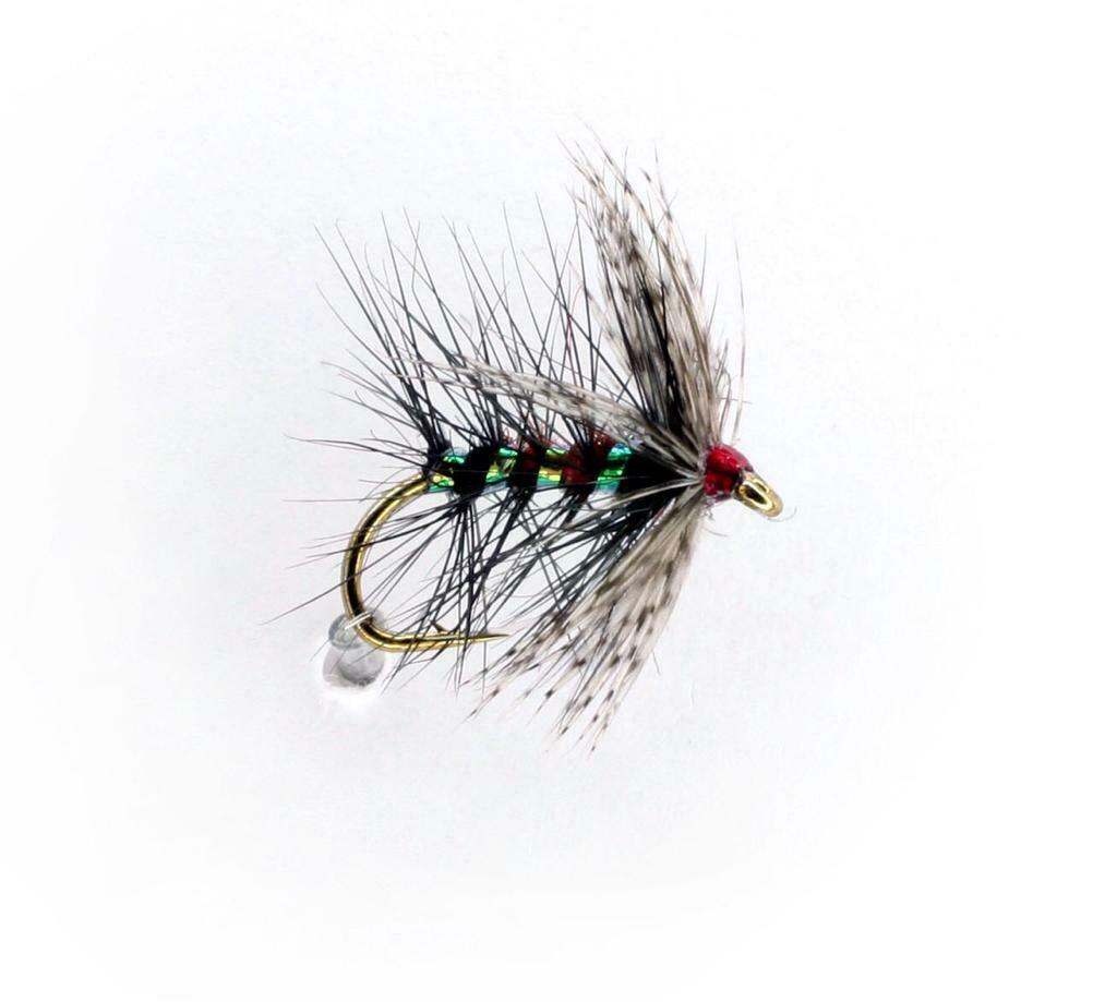 Bumble Bibio Pearly