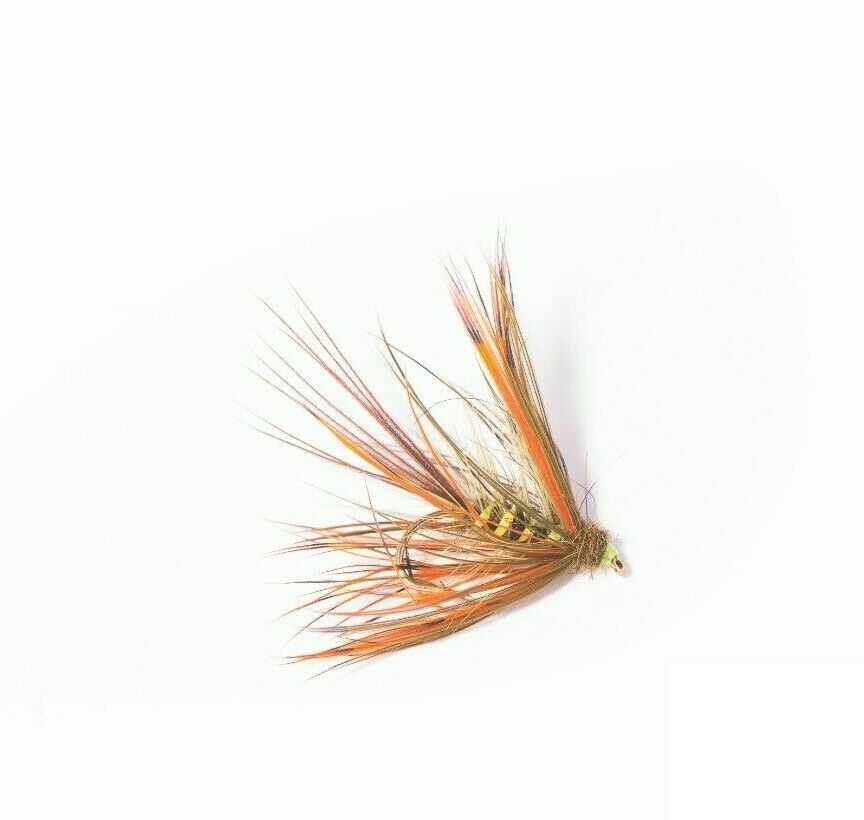 Drowned Partridge Dark Olive FL RIB