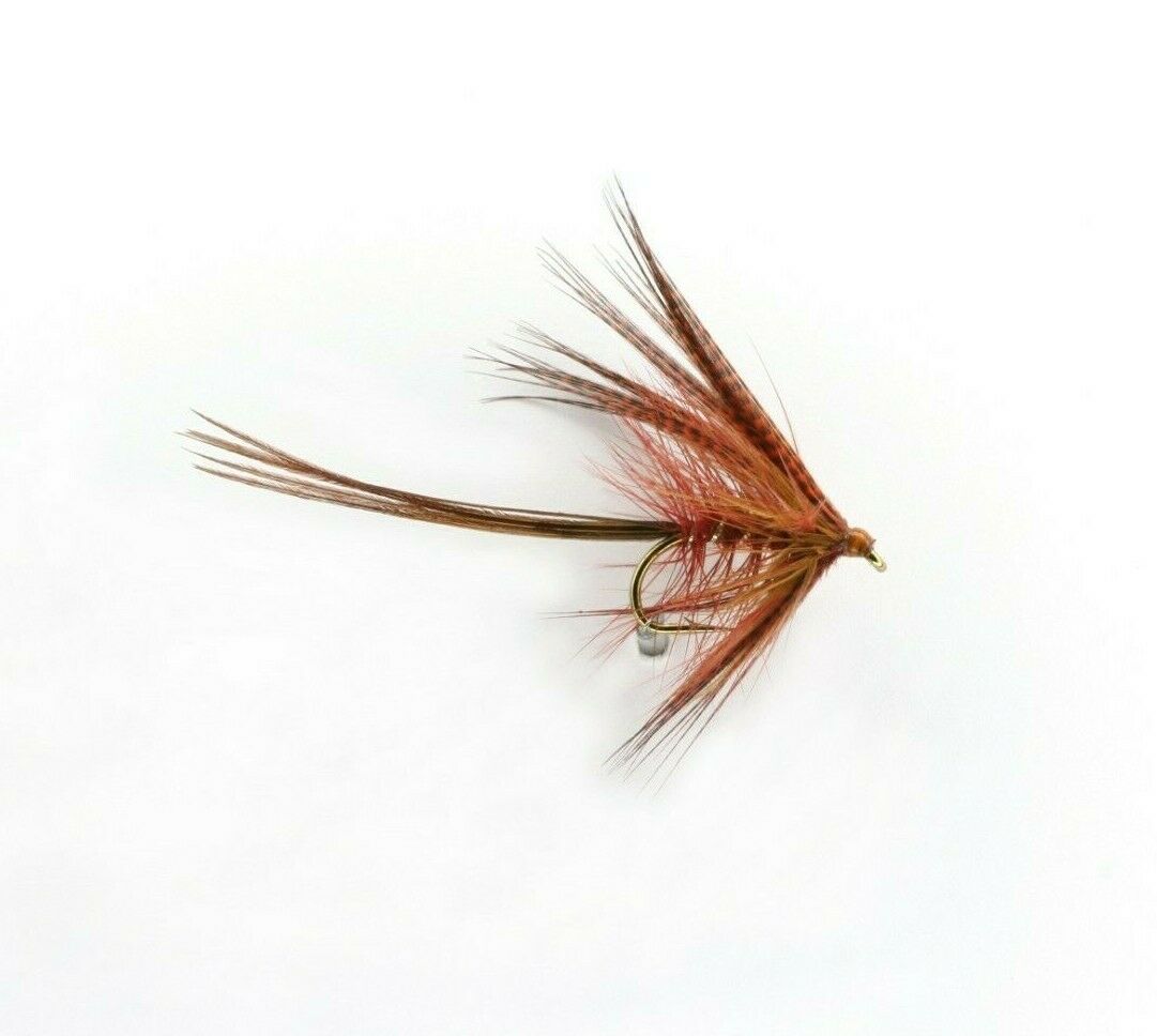DABBLER-FIERY BROWN (B)