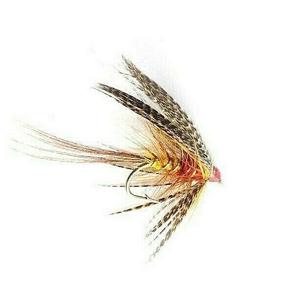 DABBLER-COCK ROBIN (B)