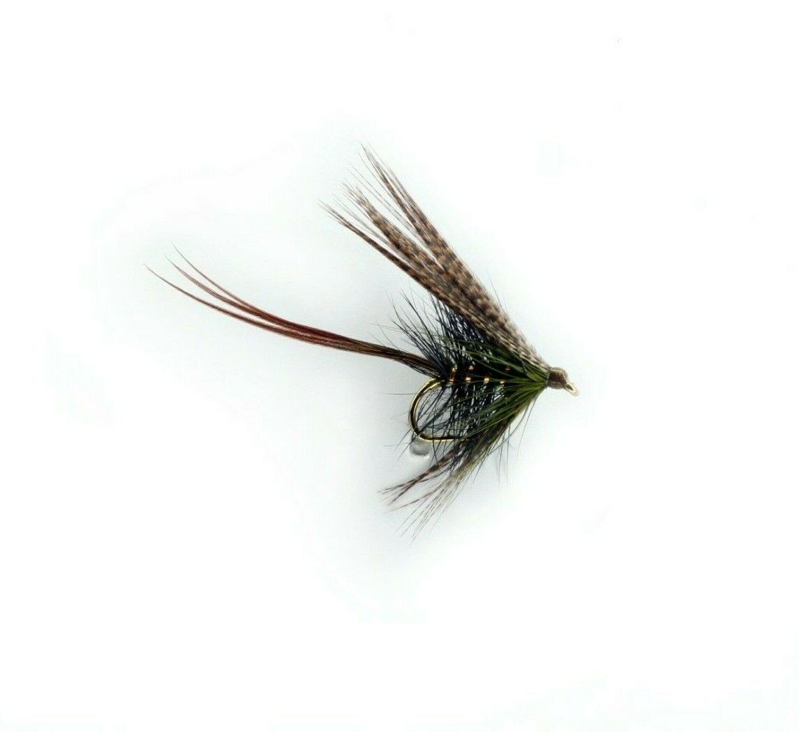 DABBLER-SOOTY OLIVE (B)