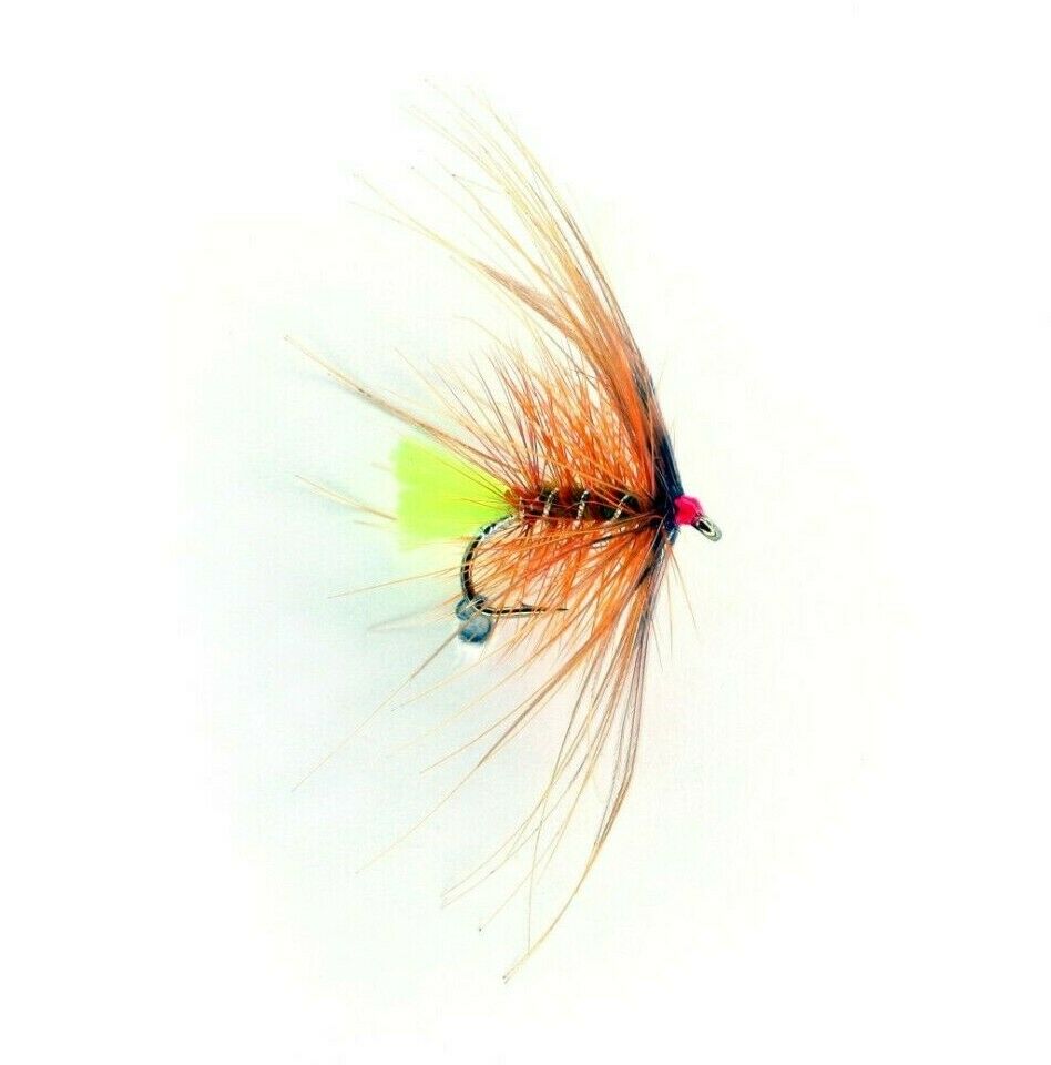 Bumble Octopus Golden