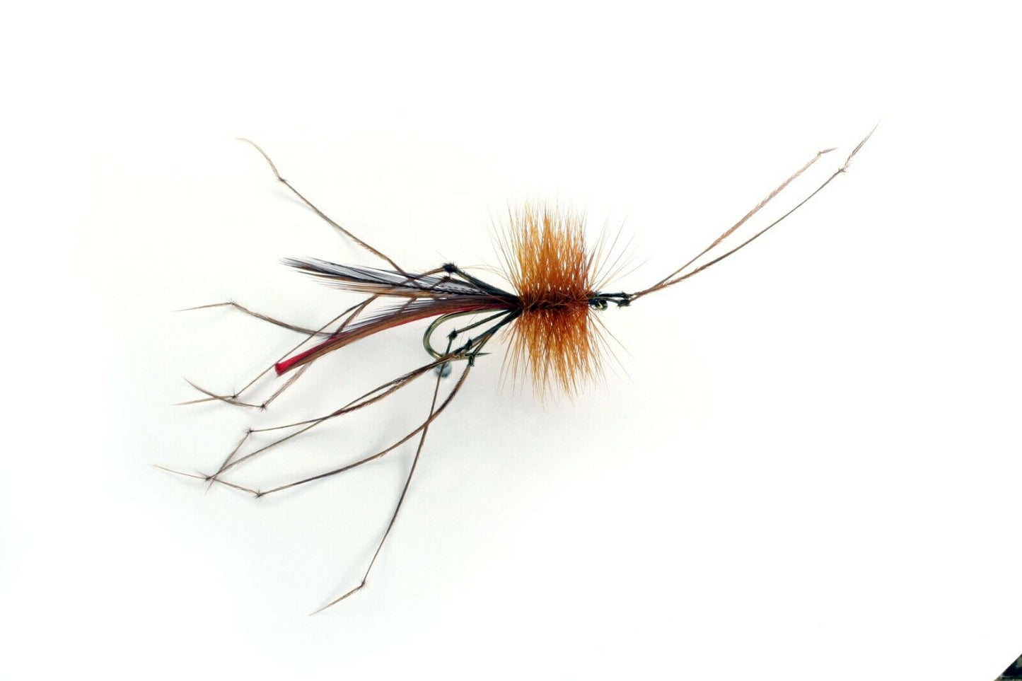 HOPPER-DADDY RED