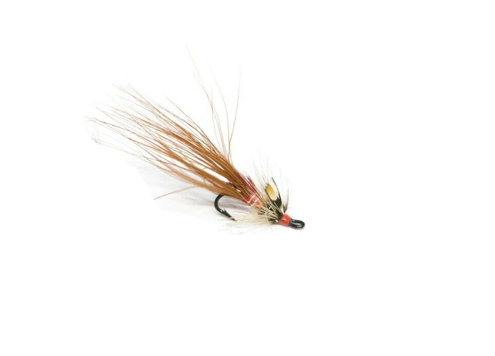 Currys Red Shrimp - Doubles