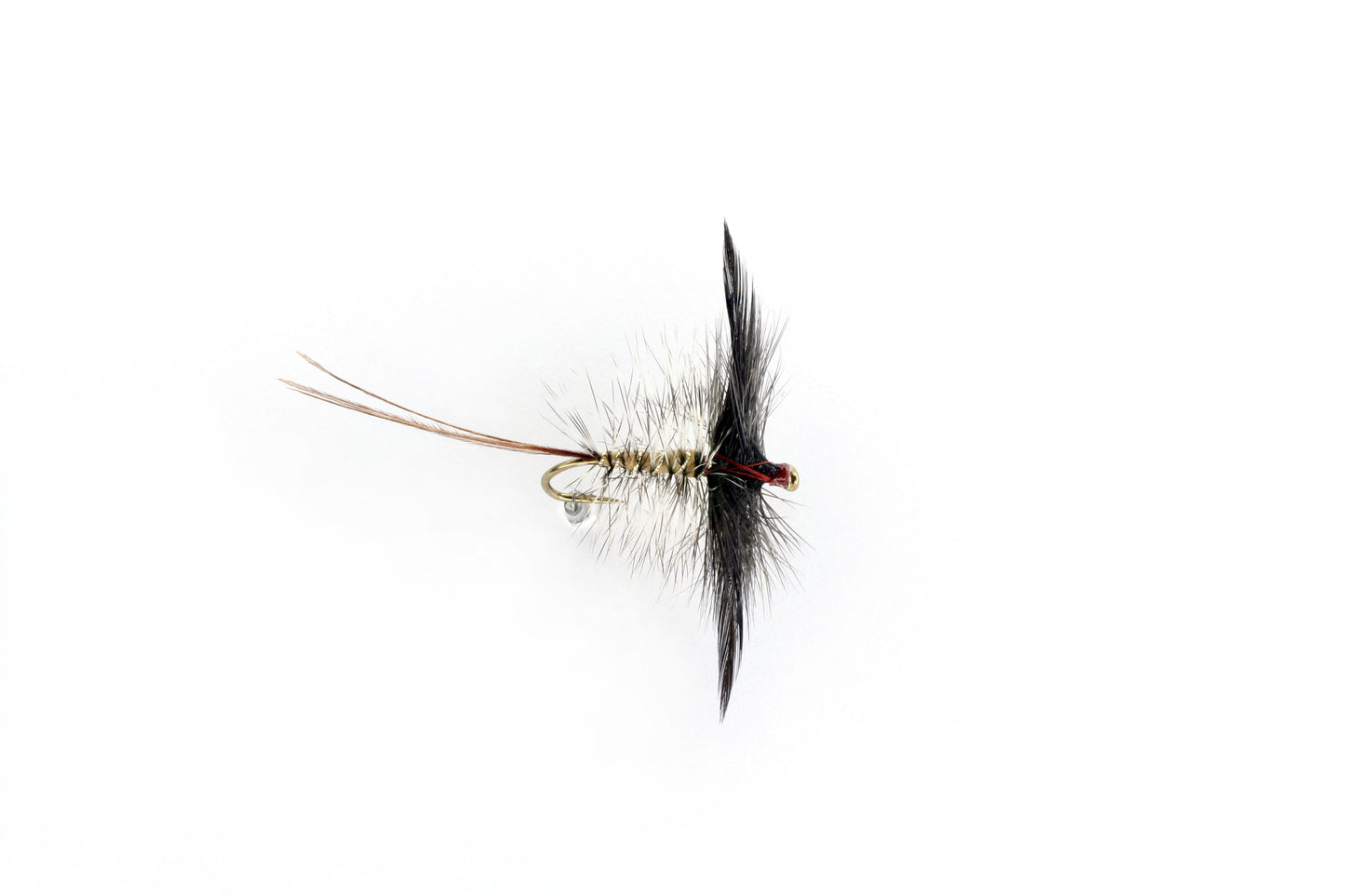 DRY MAY-SPENT FEMALE TRAD (B)