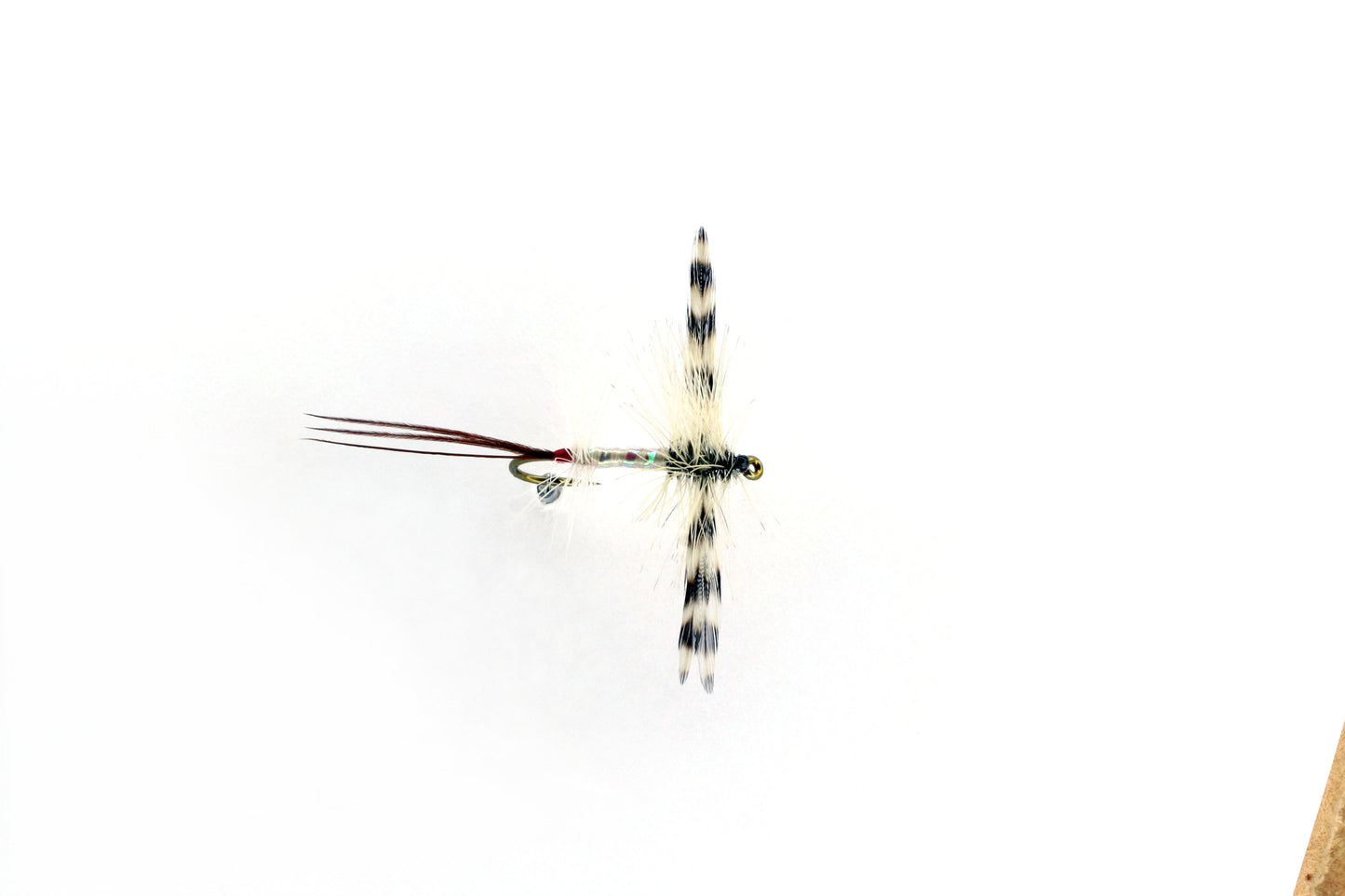 DRY MAY-SPENT MALE PEARLY (B)