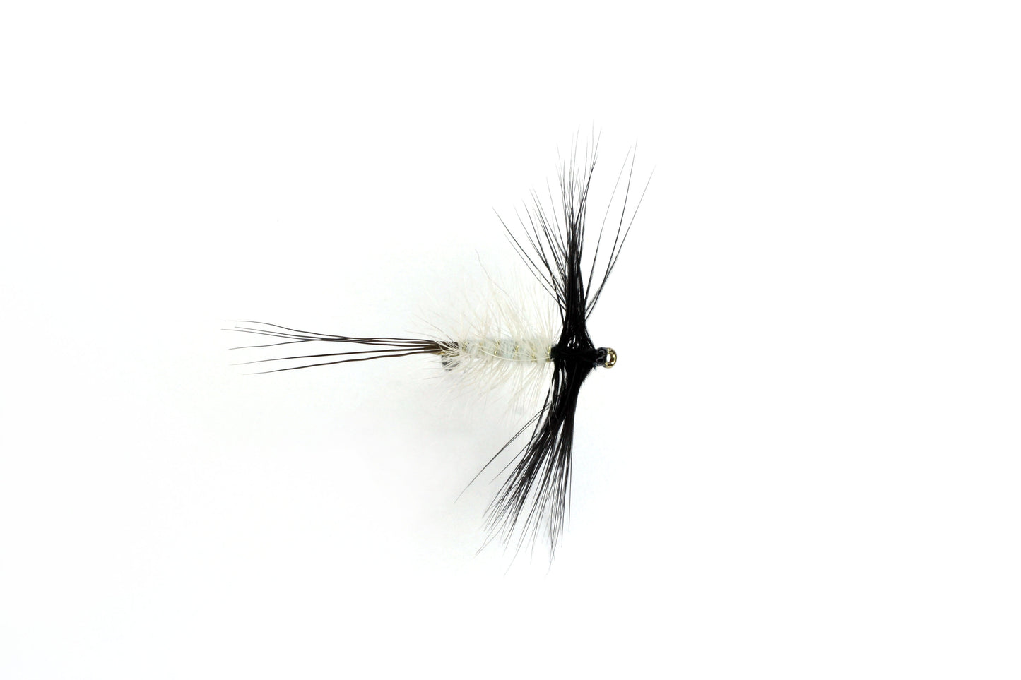 DRY MAY-SPENT MALE TRAD (B)