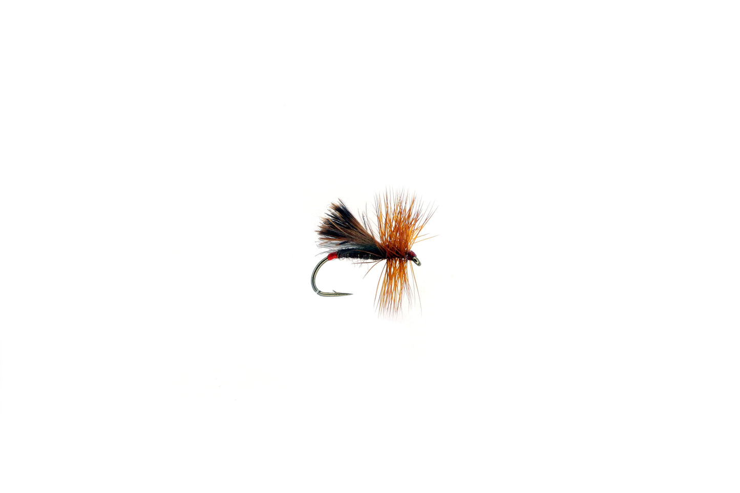 SEDGE-WALKERS SEDGE