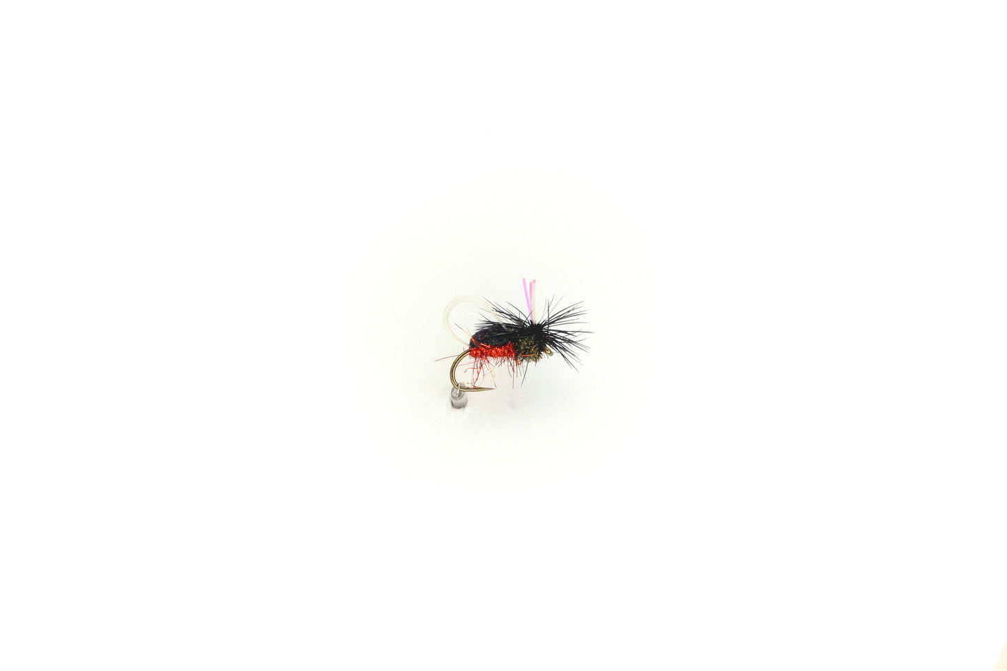 BEETLE - PARA ORANGE