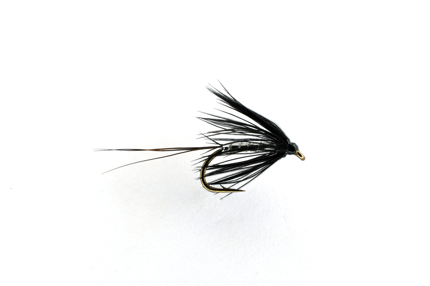 BLACK and SILVER SPIDER