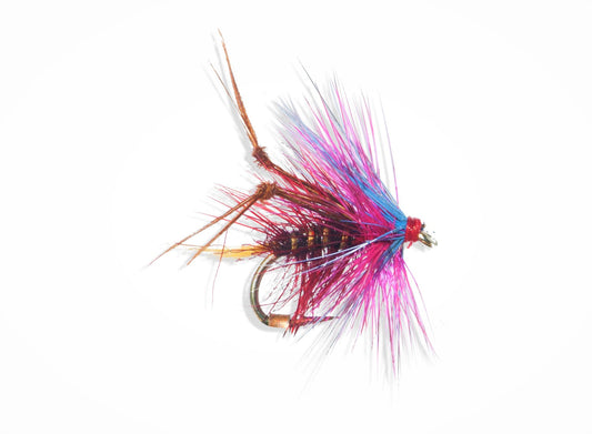 HOPPER-LEGS 11 CLARET