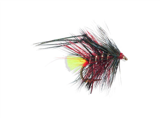 HOPPER-GG-CLARET