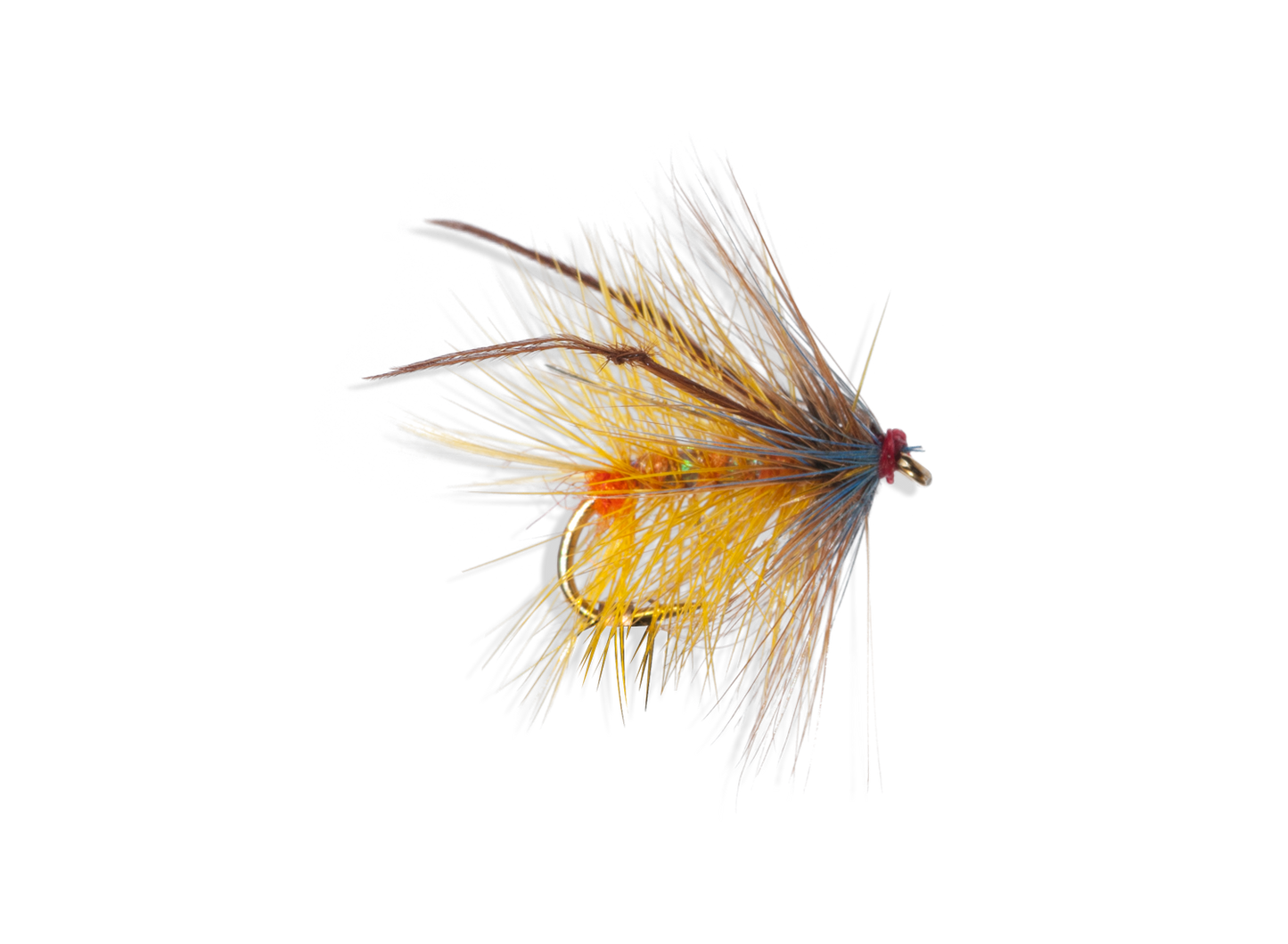 Golden olive bumble leggy