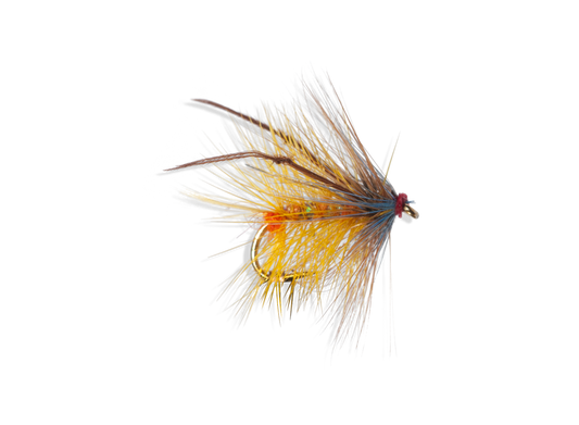 Golden olive bumble leggy