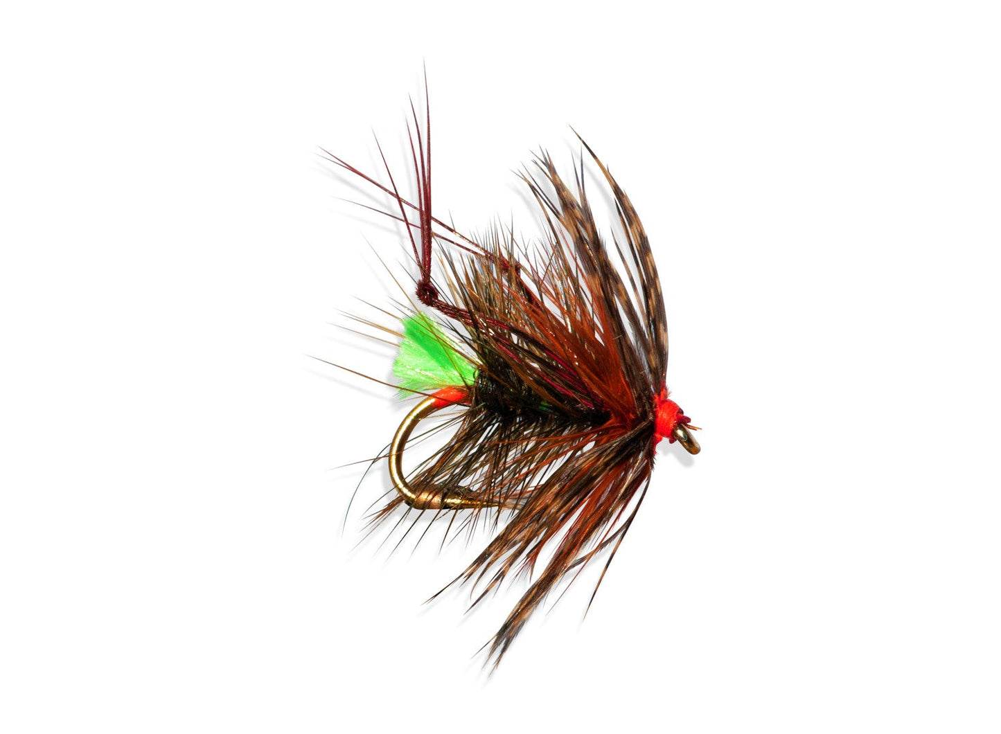 HOPPER-GG-SOOTY