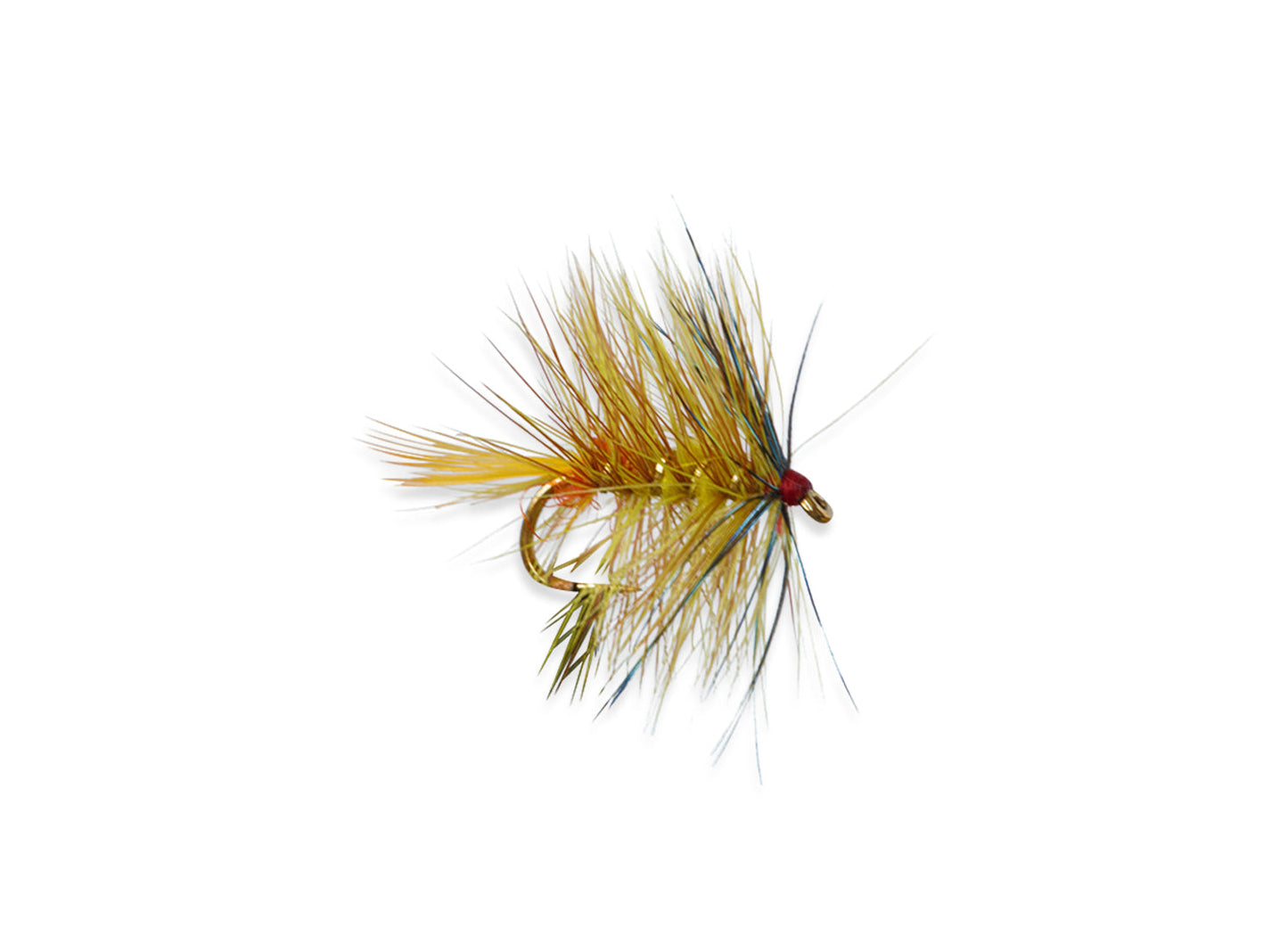 Bumble Atkins Invicta