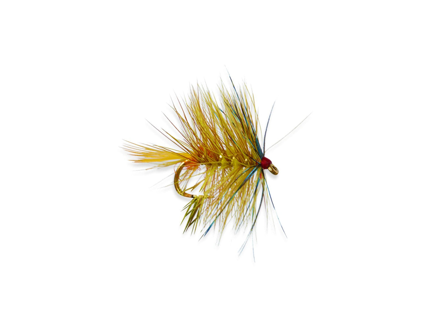 Bumble Atkins Invicta