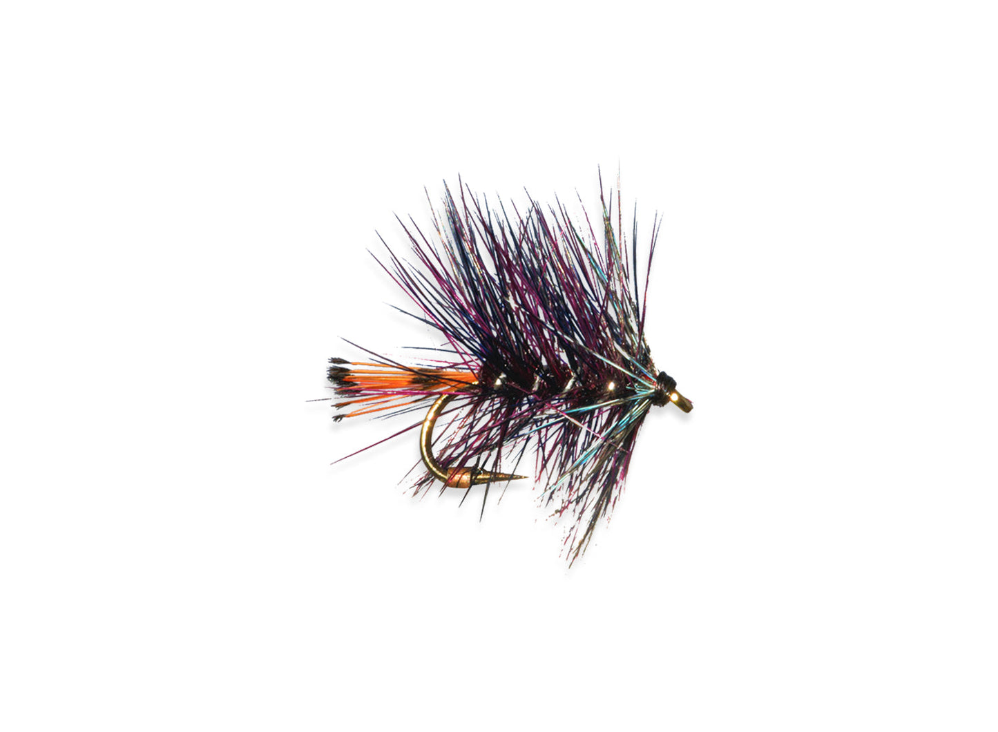 Bumble Claret Real Blue Jay