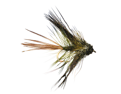 SOOTY OLIVE MUDDLER DABBLER