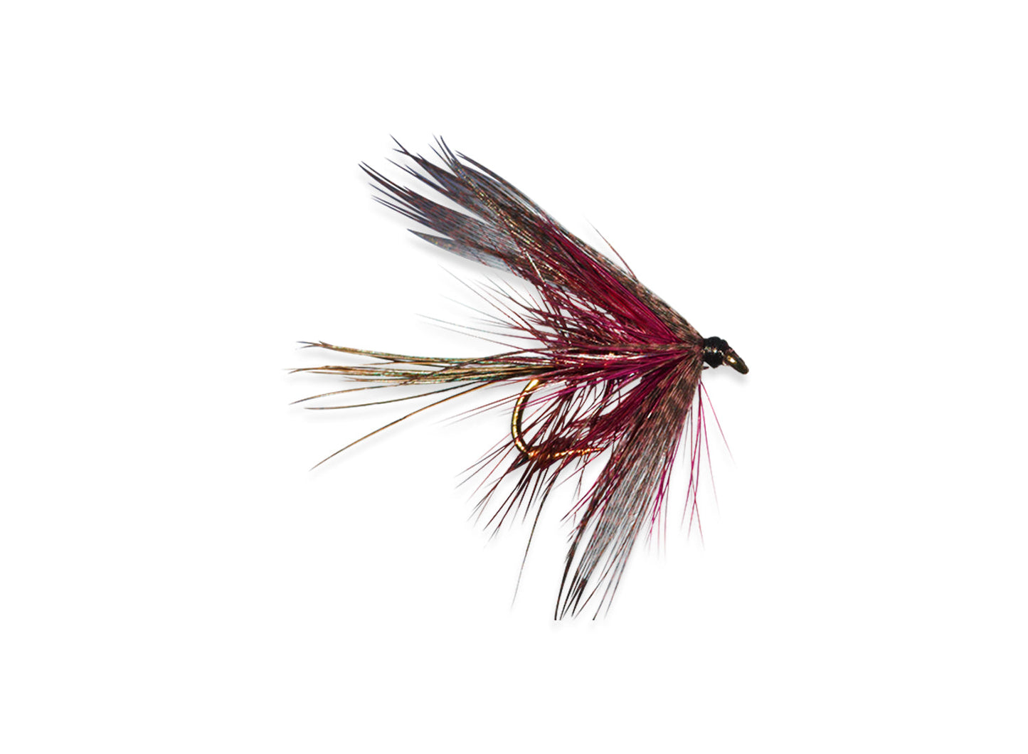 DABBLER-CLARET (B)