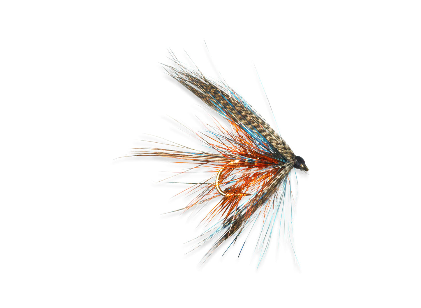 DABBLER-THUNDER