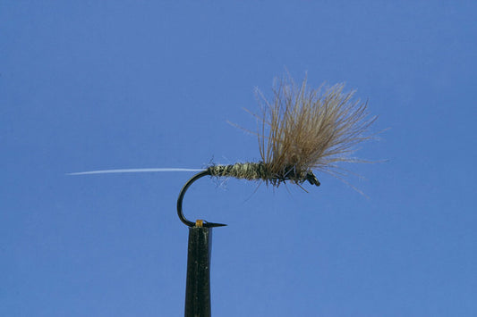 Dry (IMP)-Iron Blue Dun