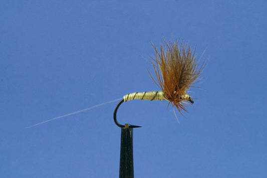 Dry (IMP)-Greenwells Glory