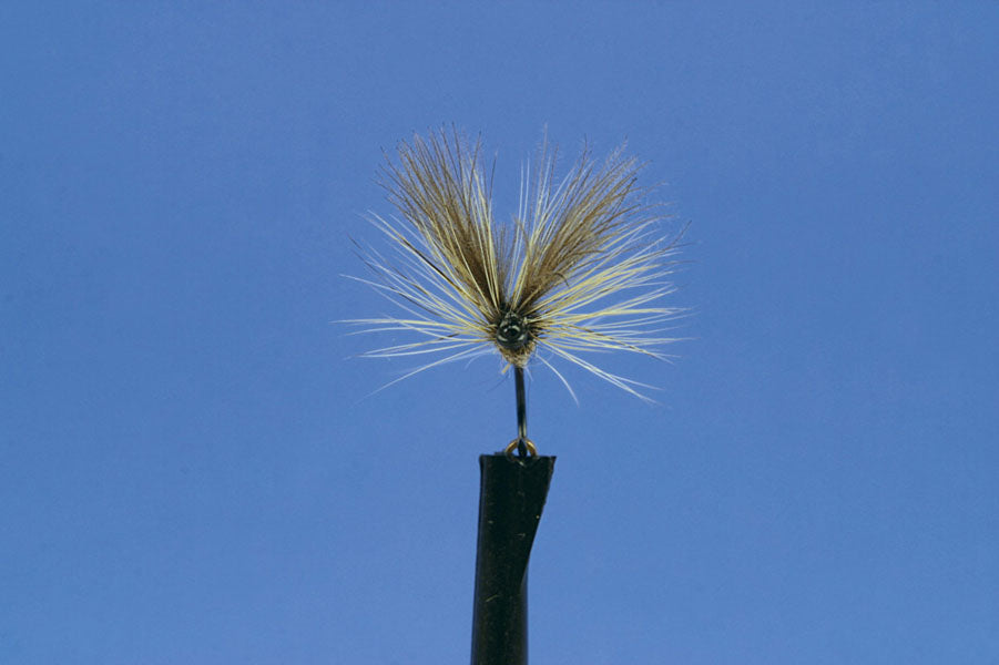 Dry (IMP)-Grey Duster