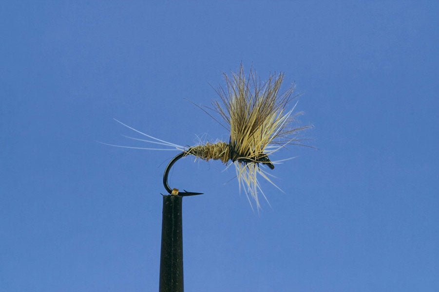 Dry (IMP)-Grey Duster