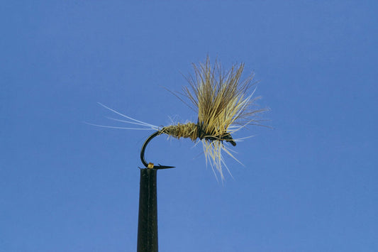 Dry (IMP)-Grey Duster