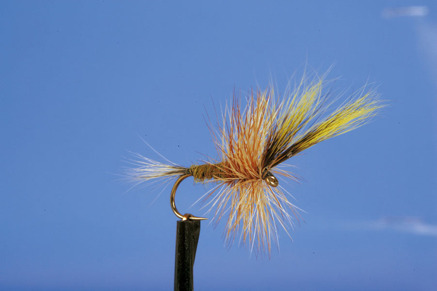DRY MAY-LOUGH DERG WULF YEL(B)